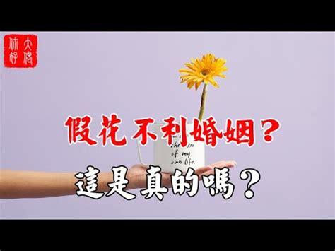 假盆栽 風水|2024年假花擺放指南